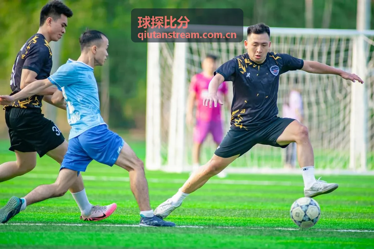 球探比分联赛数据概览